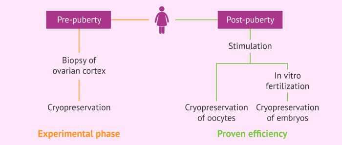 Fertility Preservation